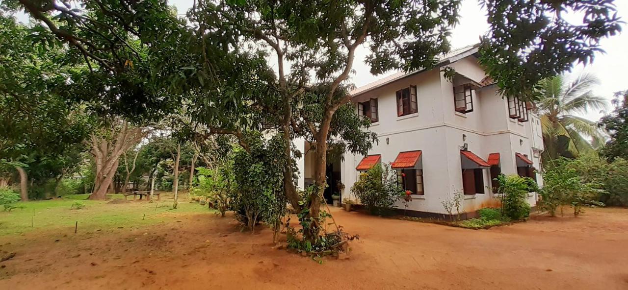 Fig And Gecko Hostel Anuradhapura Εξωτερικό φωτογραφία