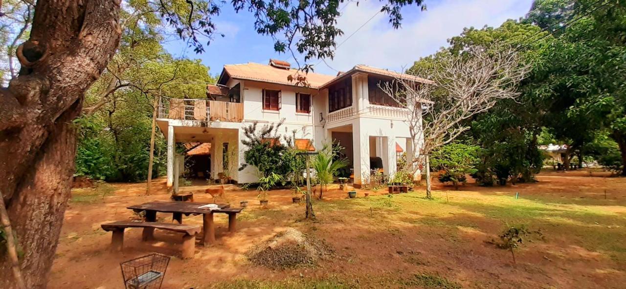 Fig And Gecko Hostel Anuradhapura Εξωτερικό φωτογραφία