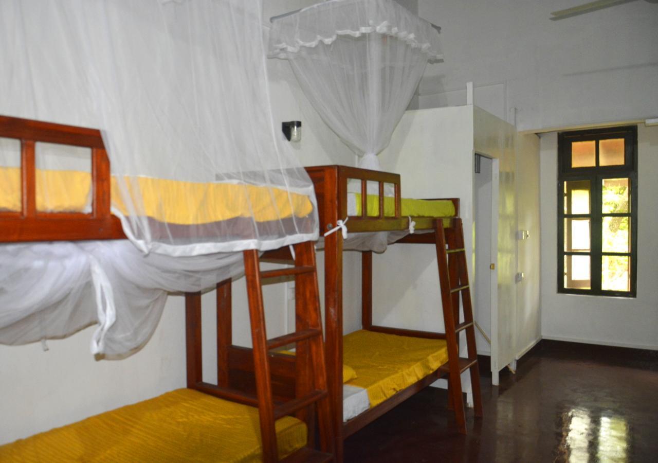 Fig And Gecko Hostel Anuradhapura Εξωτερικό φωτογραφία