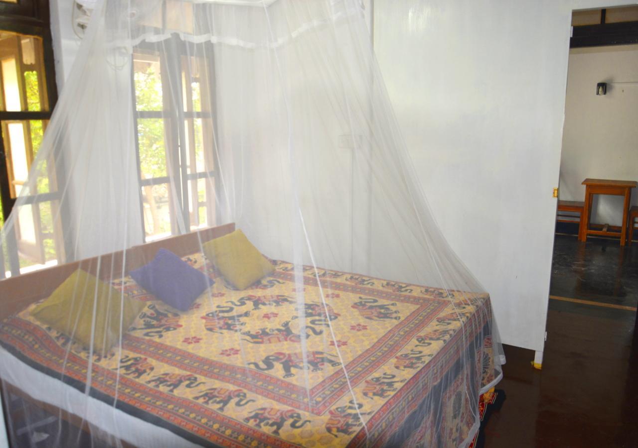 Fig And Gecko Hostel Anuradhapura Εξωτερικό φωτογραφία