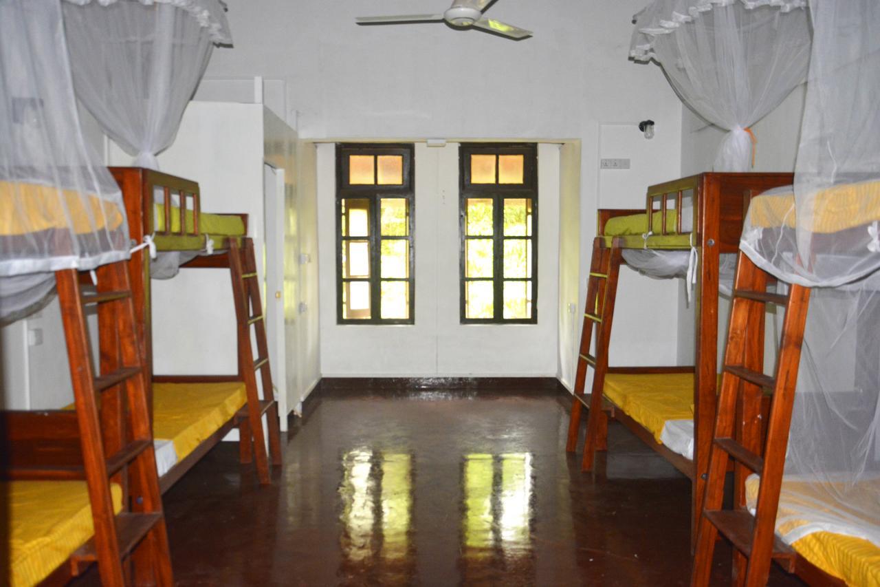 Fig And Gecko Hostel Anuradhapura Εξωτερικό φωτογραφία