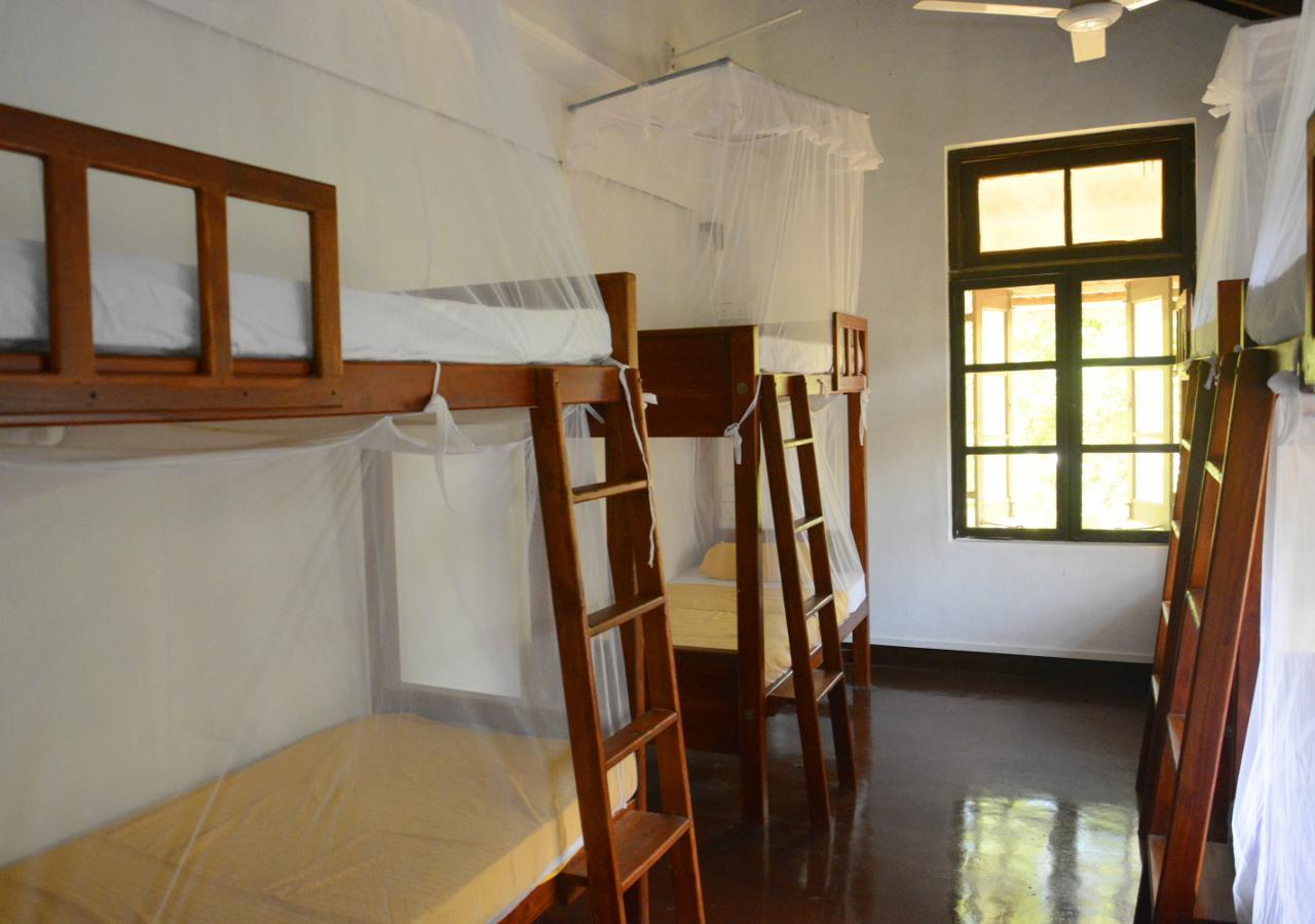 Fig And Gecko Hostel Anuradhapura Εξωτερικό φωτογραφία