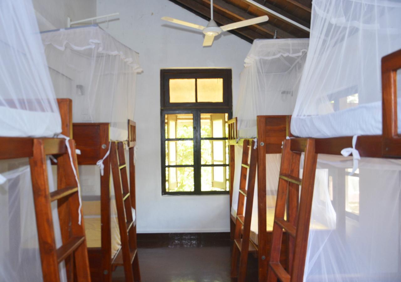 Fig And Gecko Hostel Anuradhapura Εξωτερικό φωτογραφία